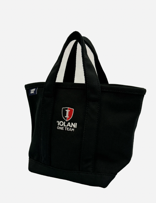 Land's End Zip Top Canvas Tote Black w/ Black Trim (ALL SALES FINAL)